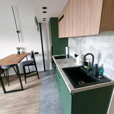 Cozy Loft Apartment Kaunas